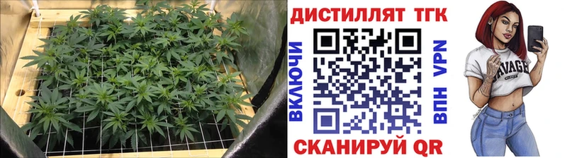 Дистиллят ТГК концентрат где купить mega ТОР Тайшет