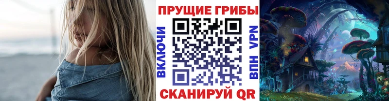 Псилоцибиновые грибы Cubensis  Тайшет 